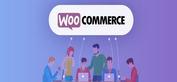 UAE HAYVN Pay and WooCommerce offer plug in crypto payments