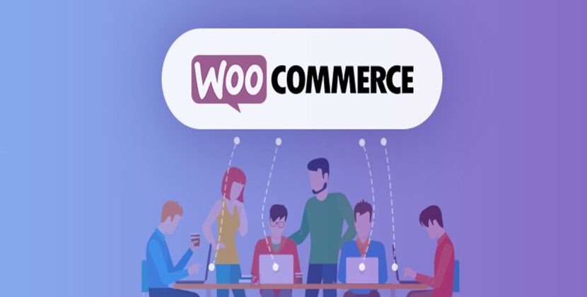 UAE HAYVN Pay and WooCommerce offer plug in crypto payments