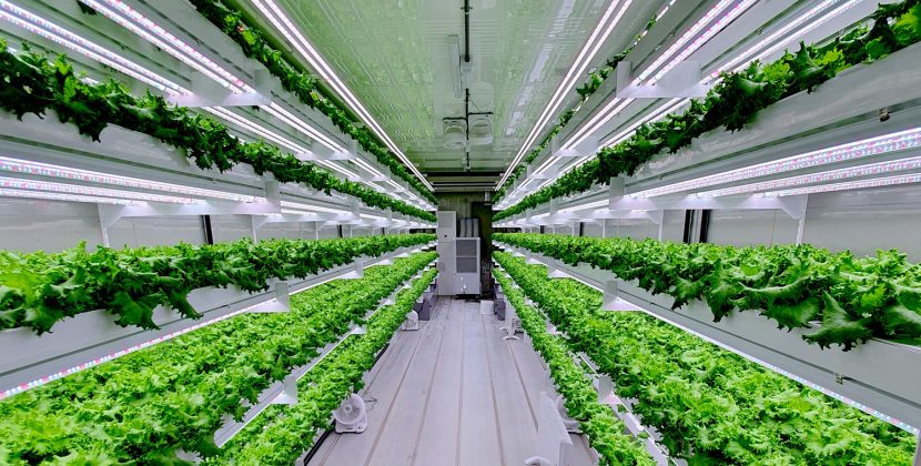 UAE blockchain hydroponic farm expands ito KSA after raising $2.25 million