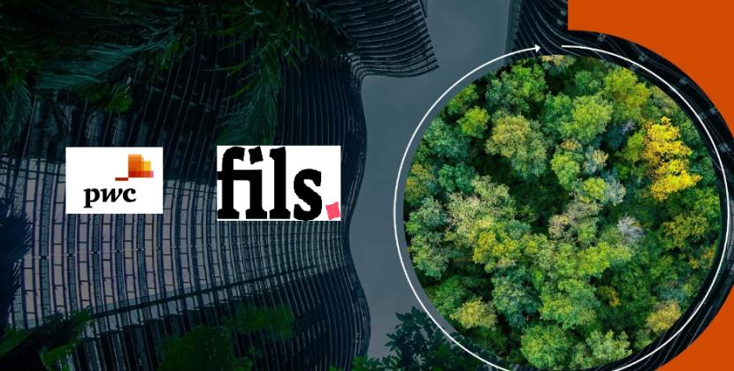 PWC MENA report features Fils carbon credit tokenization use cases
