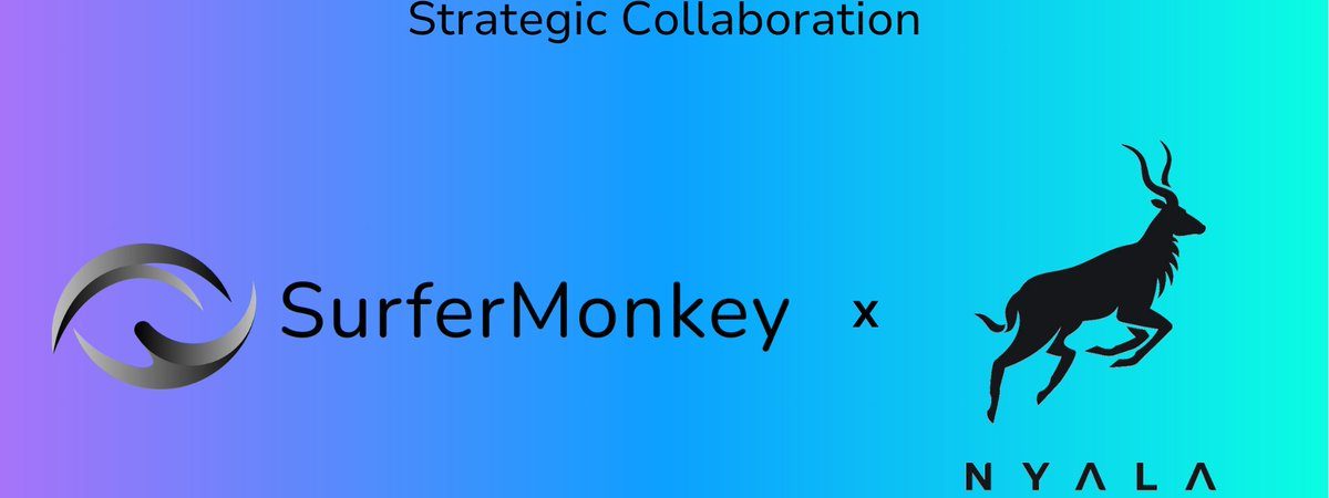 SurferMonkey partners with NYALA to bring privacy to tokenized assets