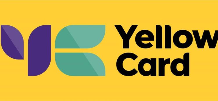 African Stablecoin on and off ramp solution provider, Yellow Card raises $33 million