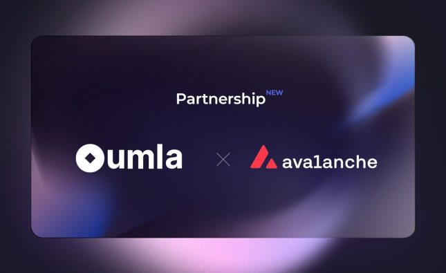 Avalanche partners with Saudi Arabian Oumla Blockchain