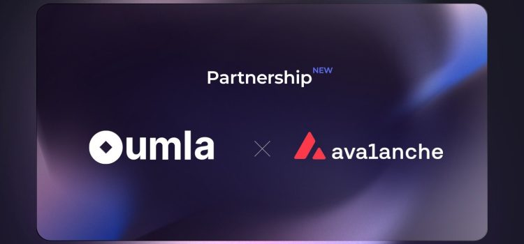 Avalanche partners with Saudi Arabian Oumla Blockchain