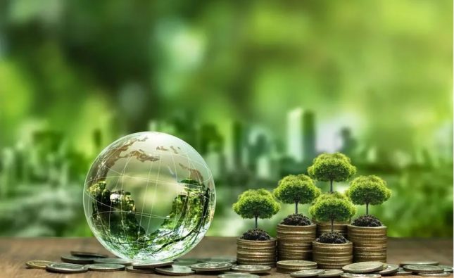 Greengage to promote green digital assets sector with e-money solutions