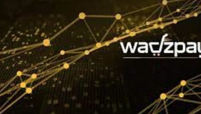 WadzPay Blockchain crypto entity no longer licensed in UAE