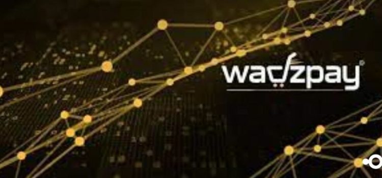 WadzPay Blockchain crypto entity no longer licensed  in UAE