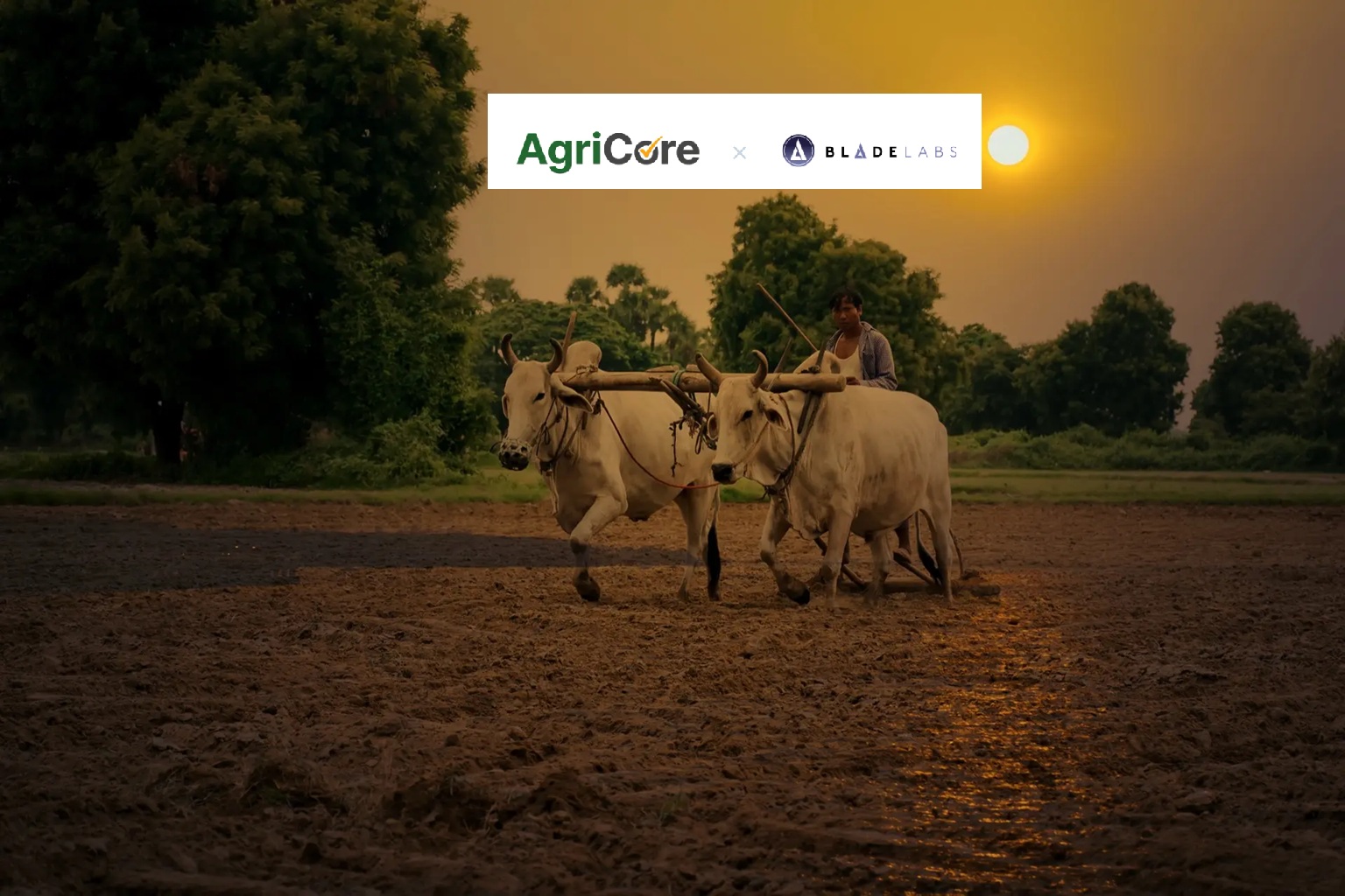 Agricore and Qatar based Blade labs launch sharia compliant livestock investment portfolio