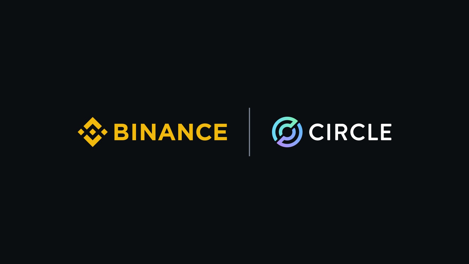 USDC gets $100 million push from Binance